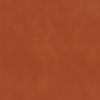 brooklyn 49.jpg